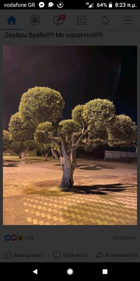 Hotel Διεθνές Zacharo Bagian luar foto